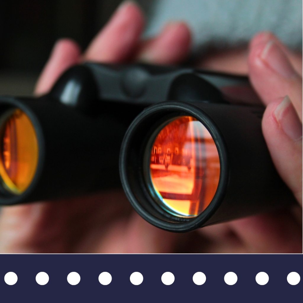 Blue Falcons Investigation agent monitoring activity for investigation purposes